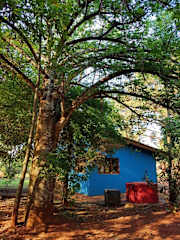 Photos of Casa Yaguarete B&B