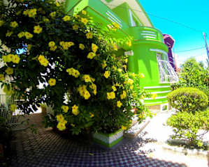 Photos of Porto Alegre Eco Hostel