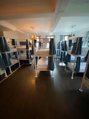 Photos of The Walrus Hostel