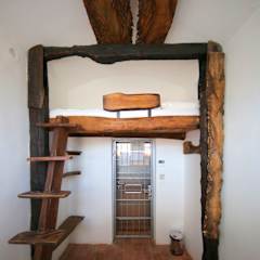 Photos of Hostel Celica