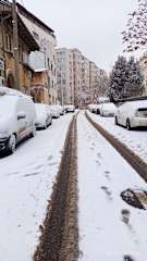 Photos of Vila 11