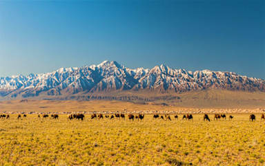 Sunpath Mongoliaの写真