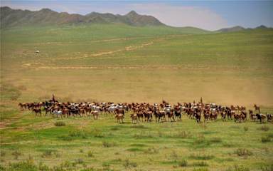 Sunpath Mongoliaの写真