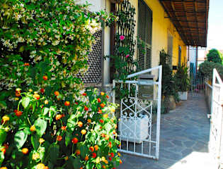 Фотографии