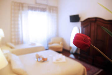 Foto di