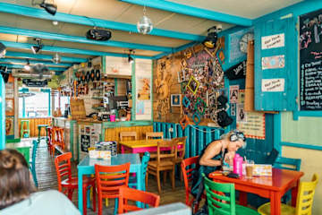 Photos of Flying Pig Beach Hostel