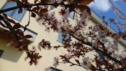 Photos of Hotel Majestic - of San Giuliano Milanese