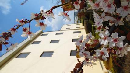Photos of Hotel Majestic - of San Giuliano Milanese