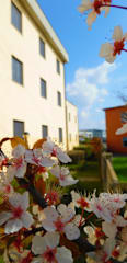 Photos of Hotel Majestic - of San Giuliano Milanese