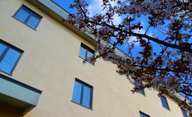 Photos of Hotel Majestic - of San Giuliano Milanese