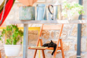 Photos of Himara Hostel