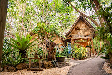 Photos of Bohol Coco Farm