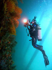Photos of Richmond Vale Diving and Hiking Center