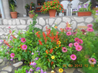 Photos of Mate Guesthouse