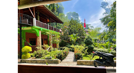 Photos of Nora's Homestay and Rainforest