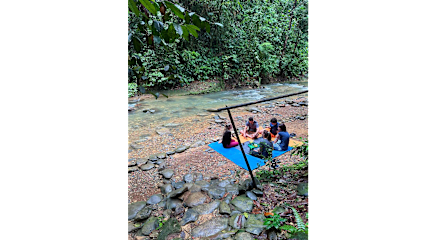Photos of Nora's Homestay and Rainforest