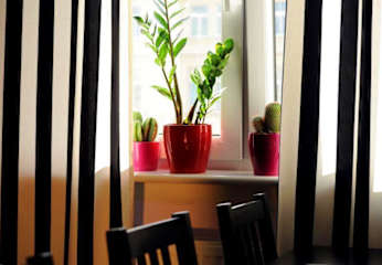 Photos of Very Berry Hostel