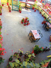 Photos of Hotel Holy Temple Tree