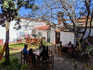 Fotos de The Beehive Sucre