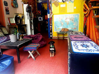 Photos of Green Studio Lounge