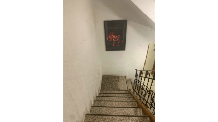 照片