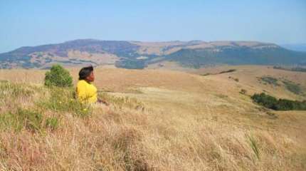 Photos of Elundini Backpackers