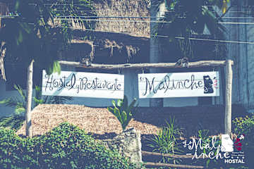 Photos of Hostal La Malinche