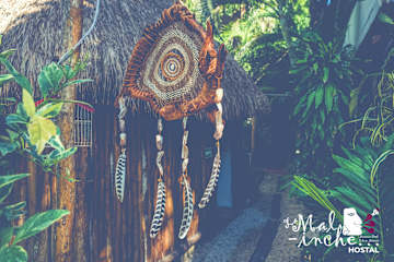 Photos of Hostal La Malinche