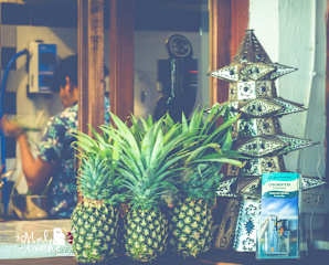 Photos of Hostal La Malinche