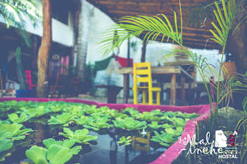 Photos of Hostal La Malinche