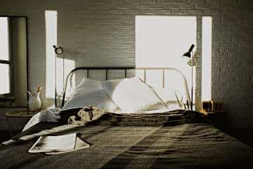 Photos of Room Ventura