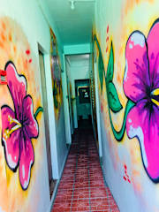 Photos of Paddys Bar Backpackers and Dive Centre
