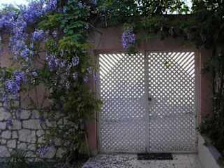 Photos of ZiZi Guest House