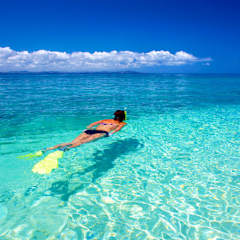 Photos of South Sea Island