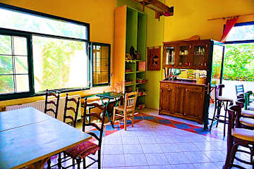 Photos of The White Rabbit Chalkidiki