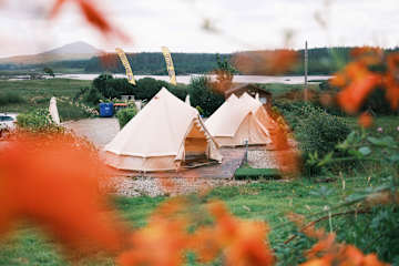 Foto di