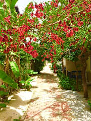Fotos von
