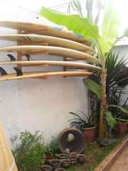 Photos of My Friend Hostel