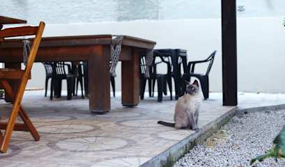 Photos of Sagui Hostel