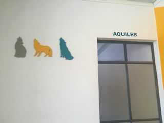 Photos of El Petate Hostel