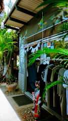 Foto di