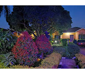 Photos of Gorilla African Guest House