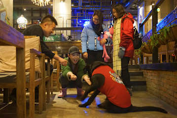 Photos of Hash International Hostel
