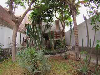 Photos of Hostel Camping Naylamp