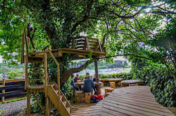 Photos of Chili Kiwi Lakefront