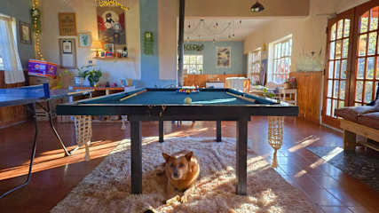 Photos of Hostel Del Lago