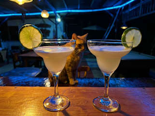 Hostal Estrella de Aguaの写真