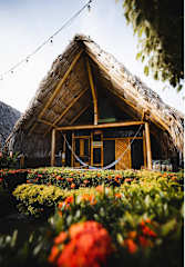 Bilder av