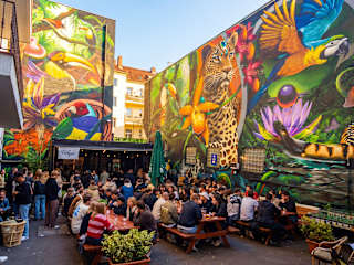 Fotos de Drunken Monkey Hostel