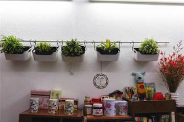 Photos of Project Uchi